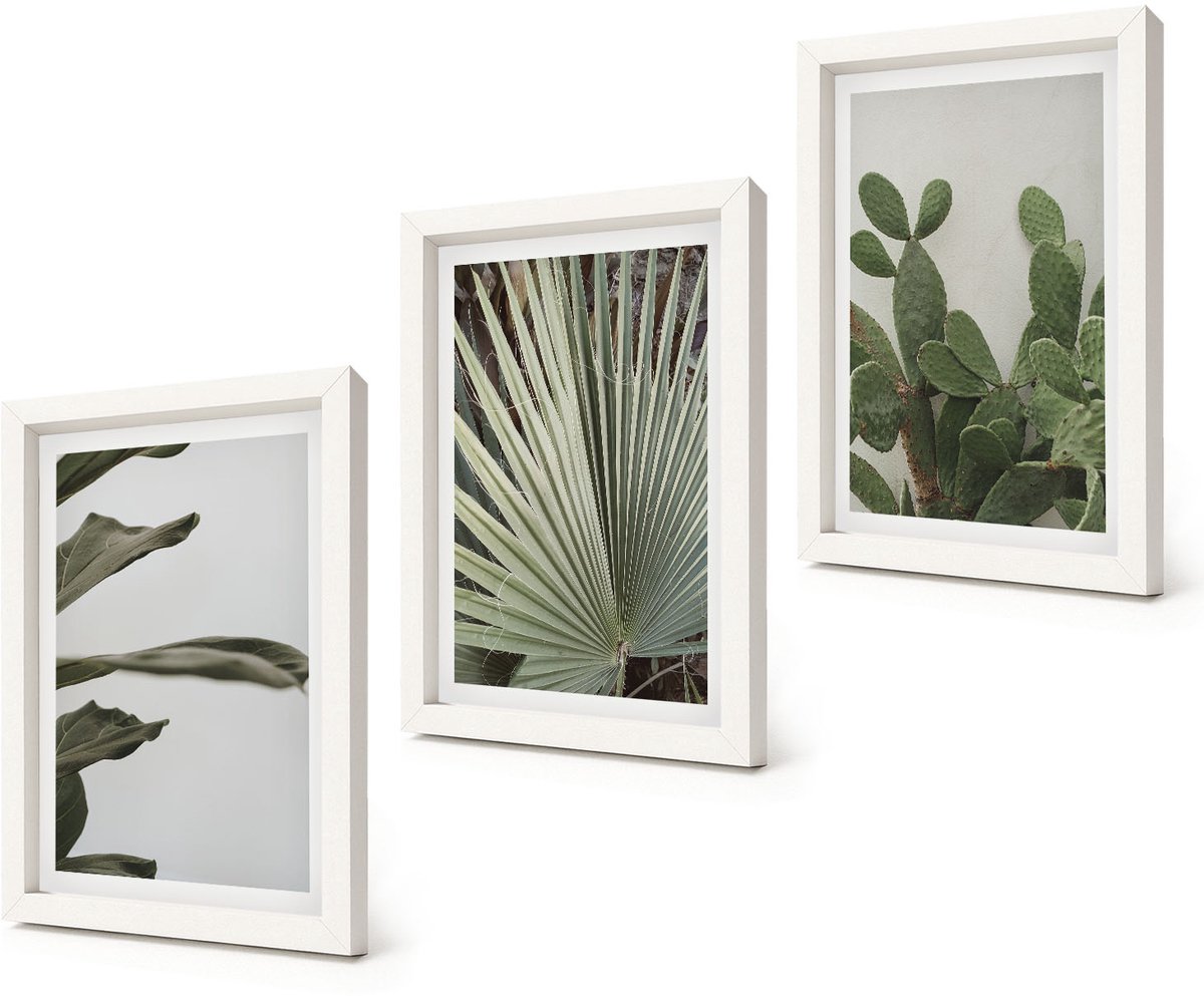 Coloray 3-Delige Schilderij Set - Bladeren van tropische planten in pastelkleuren - 20x30 - Moderne Wanddecoratie - Woonkamer - Interieur Decoratie