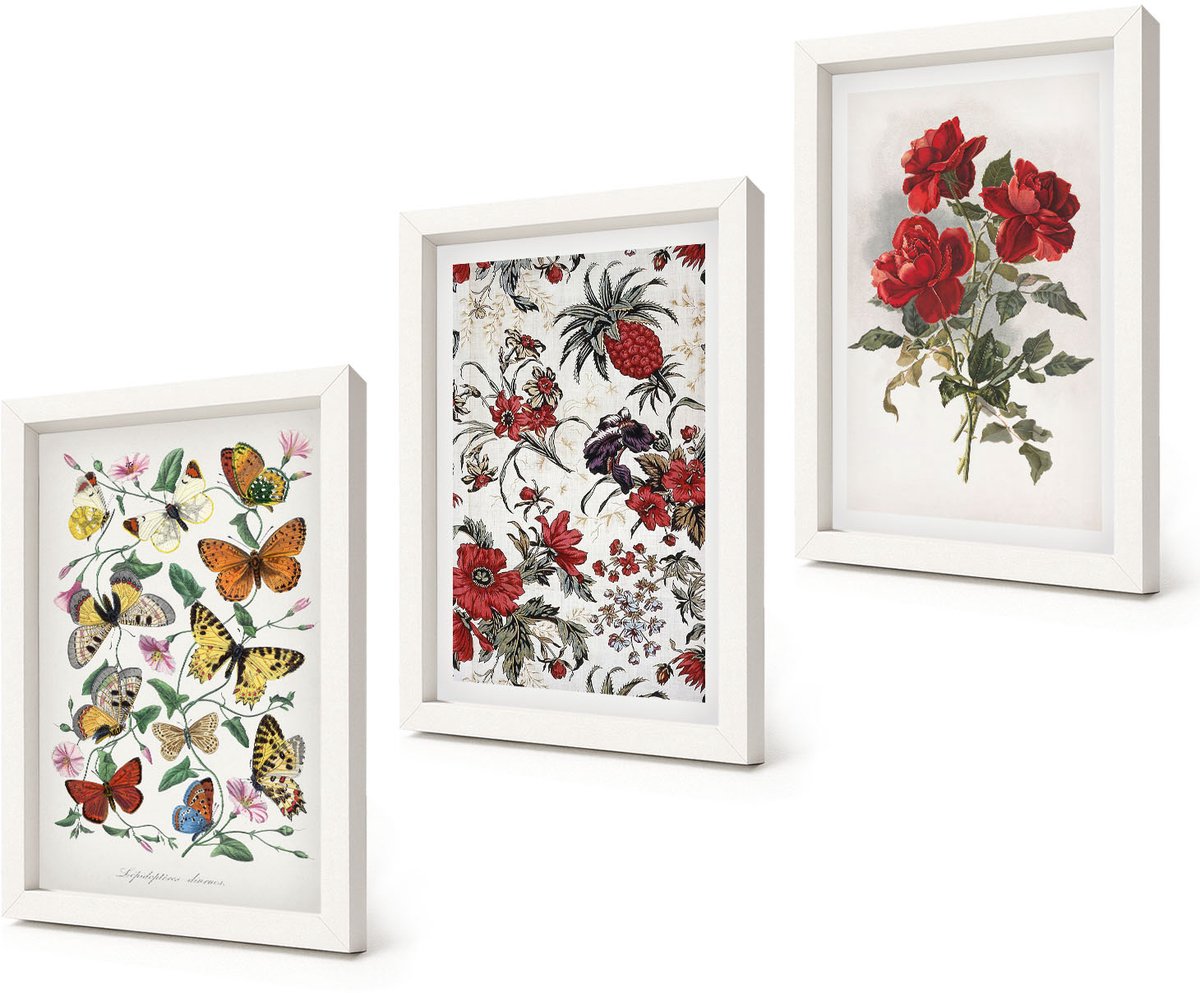 Coloray 3-Delige Schilderij Set - Vlinders, bloemen en rode rozen in een klassieke stijl. - 20x30 - Muurdecoratie - Wanddecoratie - Slaapkamer - Moderne Wanddecoratie