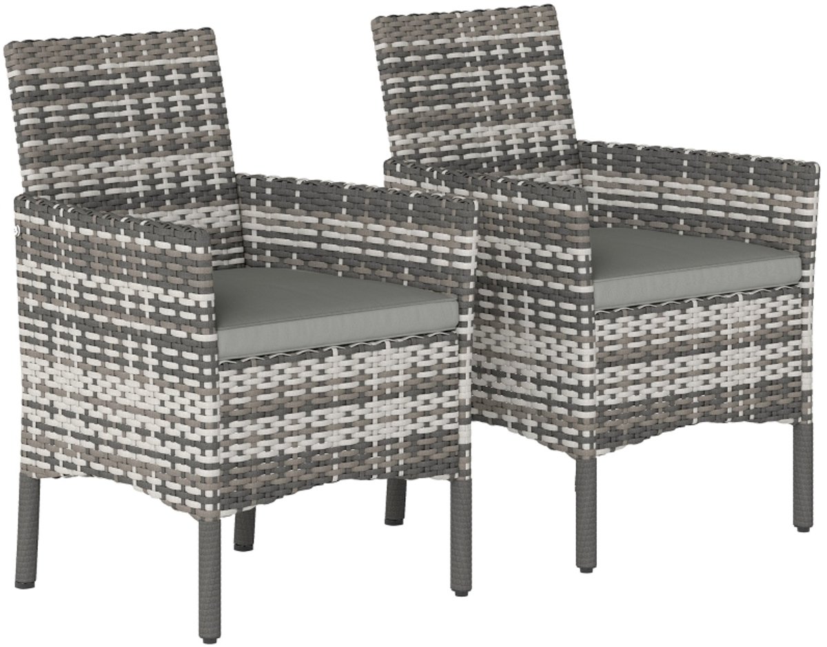 2 sets rieten tuinstoelen - met afneembare kussens - stalen frame - grijs