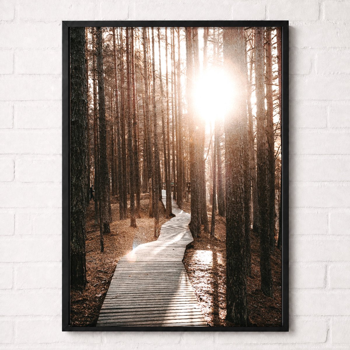 Zonnig Vlonderpad door het Bos Poster - Forest Path Collection - Natuur Posters - A1+ 61 x 91,5 cm