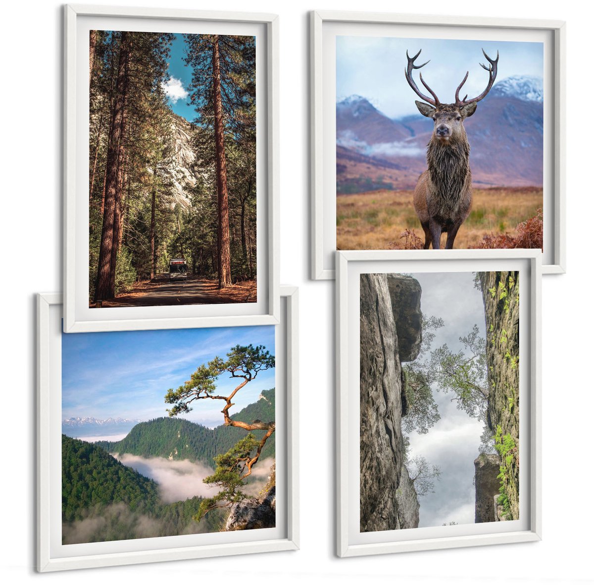 Tulup 4-Delige Schilderij Set - Weg door het bos, bergen en herten in de natuur. - 40x40 en 40x60 - Stijlvolle Wanddecoratie - Interieur - Woonkamer Decoratie