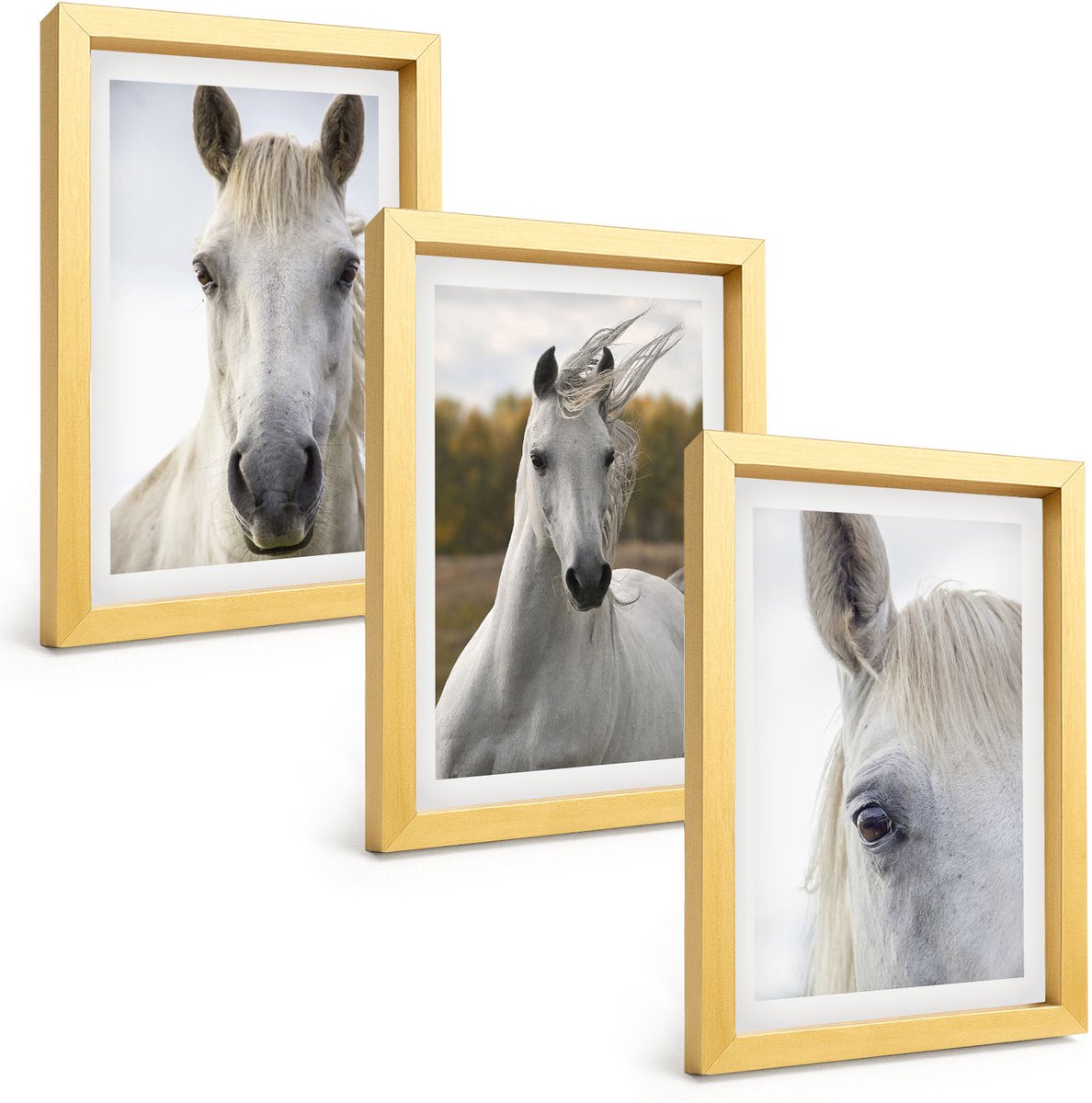 TULUP 4-Delige Schilderij Set - Witte paarden in verschillende houdingen tegen een natuurlijke achtergrond. - 20 x 30 cm - Wanddecoratie - Moderne Interieurdecoratie - Muurdecoratie Gouden lijst