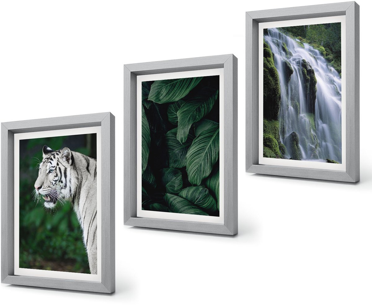 Coloray 4-Delige Schilderij Set - Tijgerwitte bladeren en een waterval in een natuurlijke omgeving - 20 x 30 cm - Decoratieve Schilderijen - Woonkamer - Interieur - Wanddecoratie Zilveren lijst