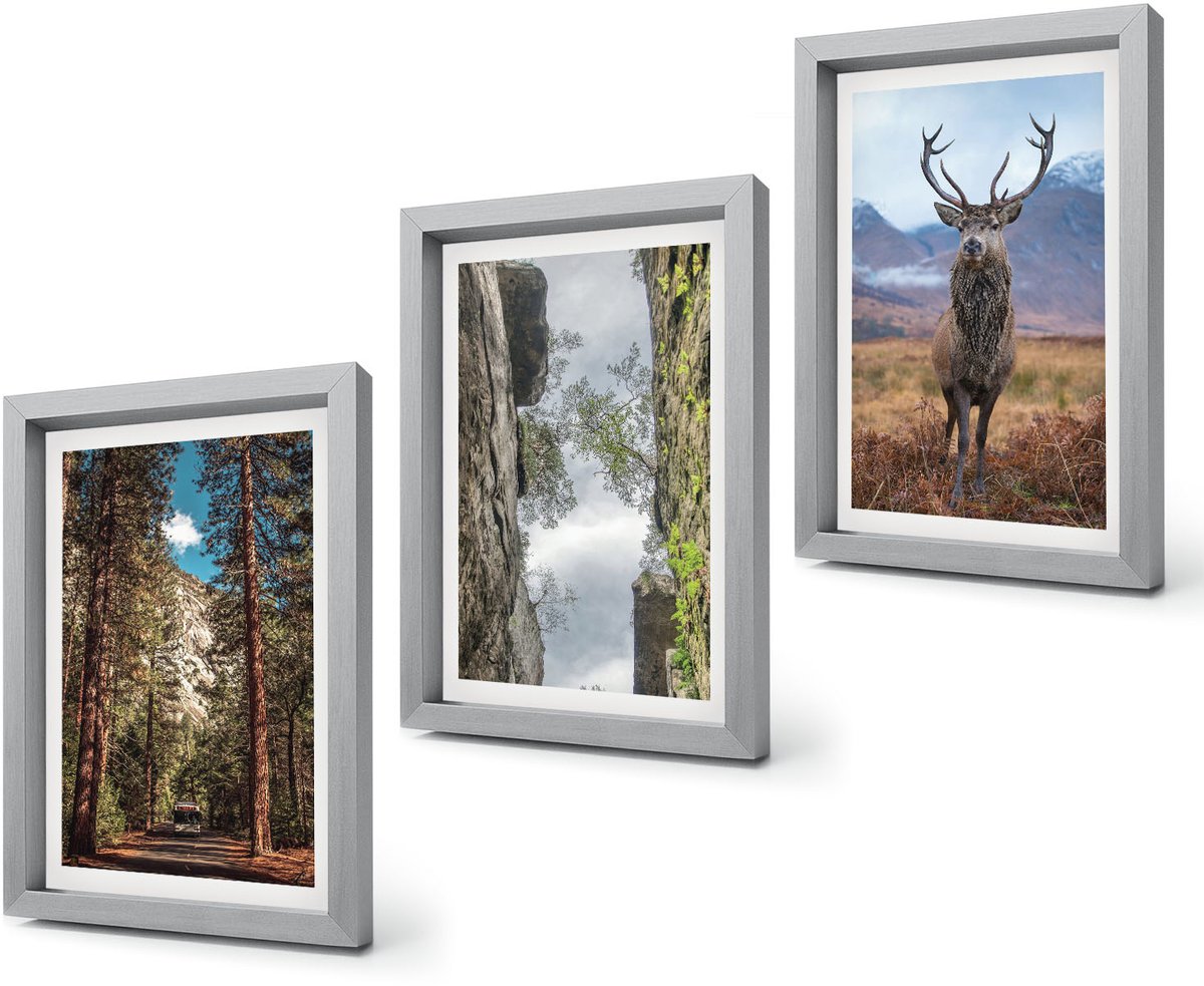 Coloray 4-Delige Schilderij Set - Weg door het bos, bergen en herten in de natuur. - 20 x 30 cm - Muurdecoratie - Wanddecoratie - Slaapkamer - Stijlvolle Muurdecoratie Zilveren lijst