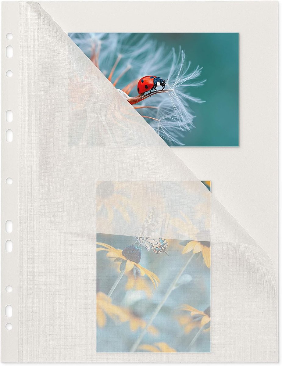 mashpaper Photo cardboard photo sheets 50 sheets white with glassine 230x297mm 65000425 - ShopVlot