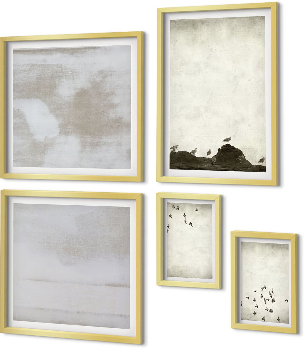 Coloray 5-Delige Schilderij Set - Vogels In Vlucht En Gekraste Texturen In Minimalistische Stijl - 50 x 50 cm, 20 x 30 cm En 40 x 60 cm - Decoratieve Muurdecoratie - Slaapkamer
