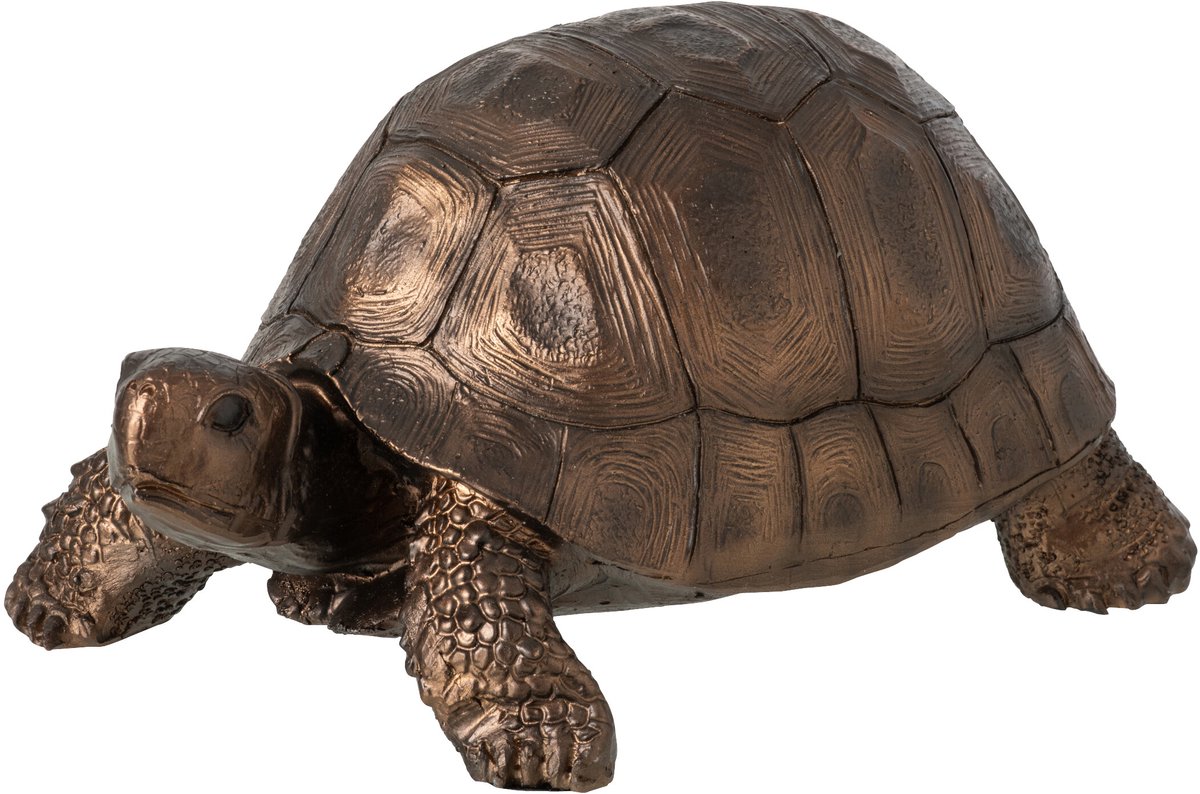 J-Line Schildpad - polyresin - brons - small