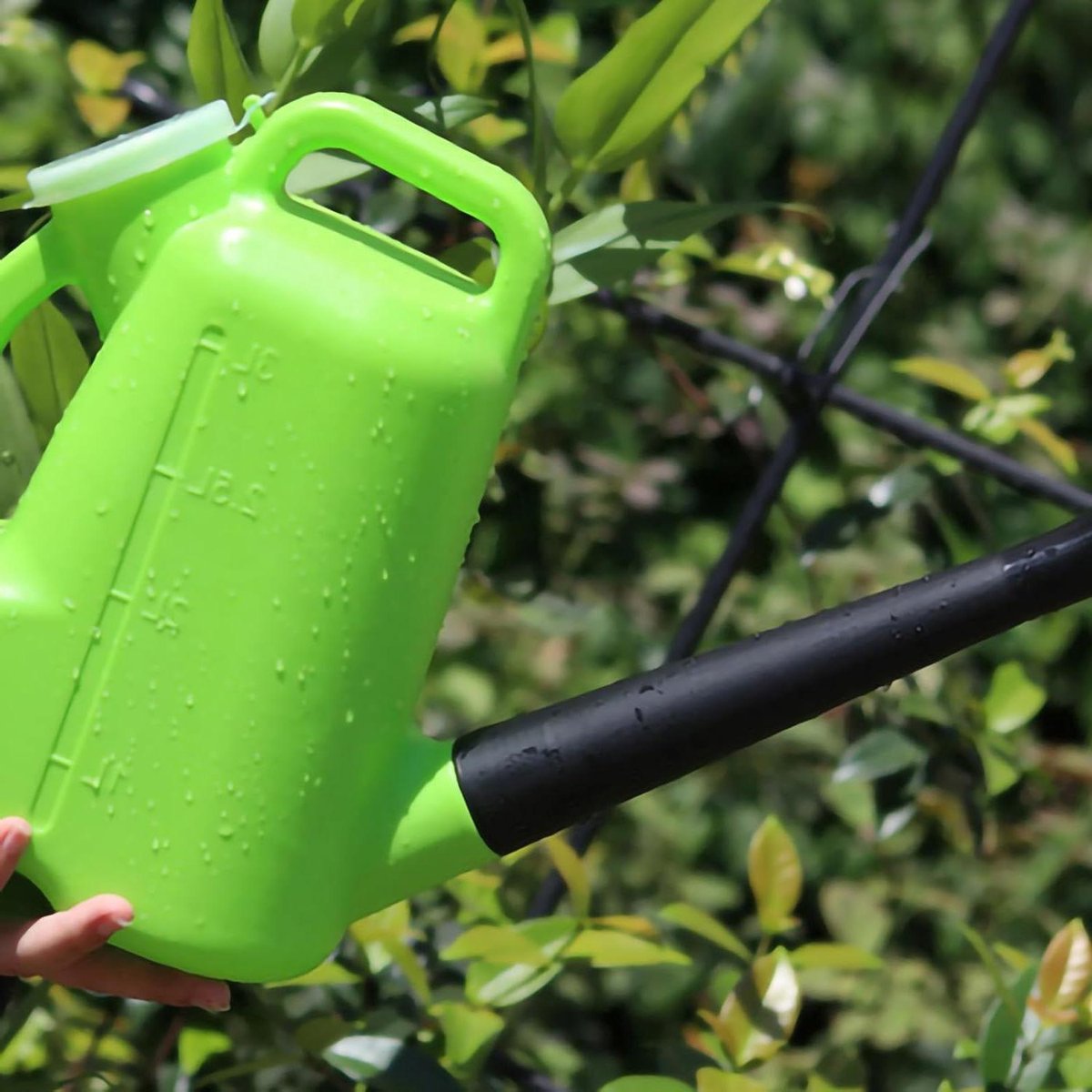 Gieter met Deksel - Waterkruik Planten - Planten Water Geven - Lekvrije Rubberen Uitloop - 3 Liter - Groen