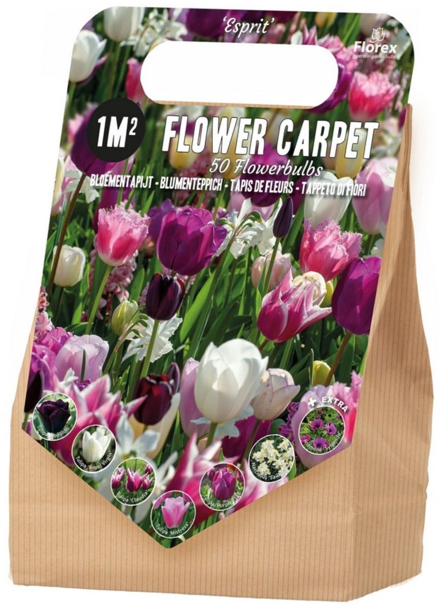 Bloembollenpakket 1 m² Esprit – 50 bloembollen - Snijbloemen - Voorjaarsbollen - bloeit in Maart / April / Mei