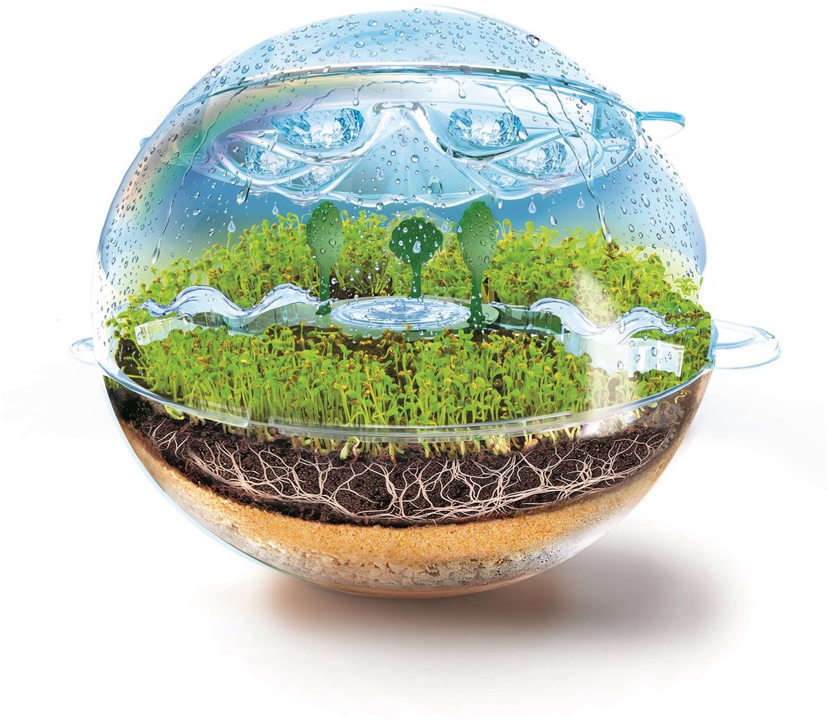 Clementoni EcoSphere Biosfeer - Mini Ecosysteem Terrarium met Waterkringloop - Planten Kweken en Natuur Ontdekken - Wetenschap en Spel voor Kinderen — cadeau in Spellen & Speelgoed - foto 5
