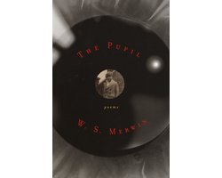 The Pupil