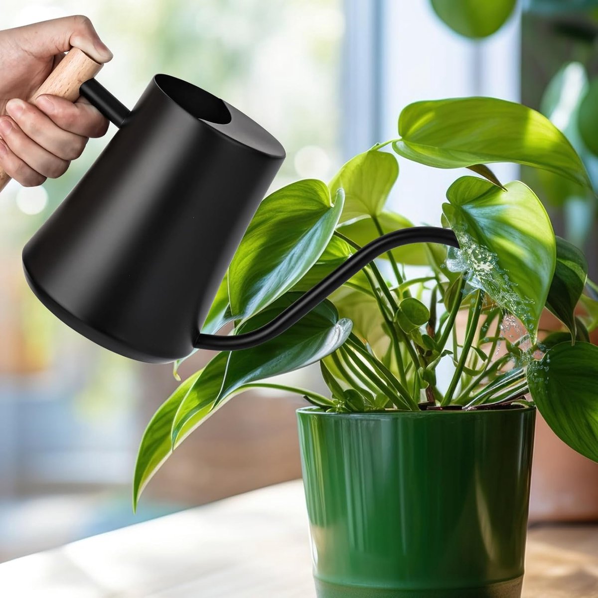 1000 ml zwarte gieter kleine kamerplanten, mini-gieter van roestvrij staal, lange uitloop, gieter voor kamerplanten, vetplanten