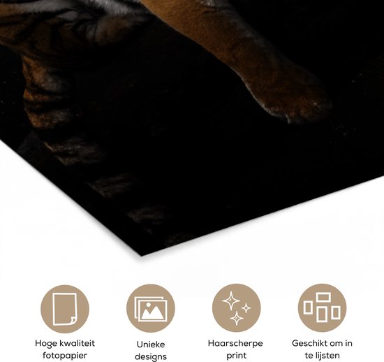 Affiche Tigre - Lune - Etoiles - 120x180 cm XXL