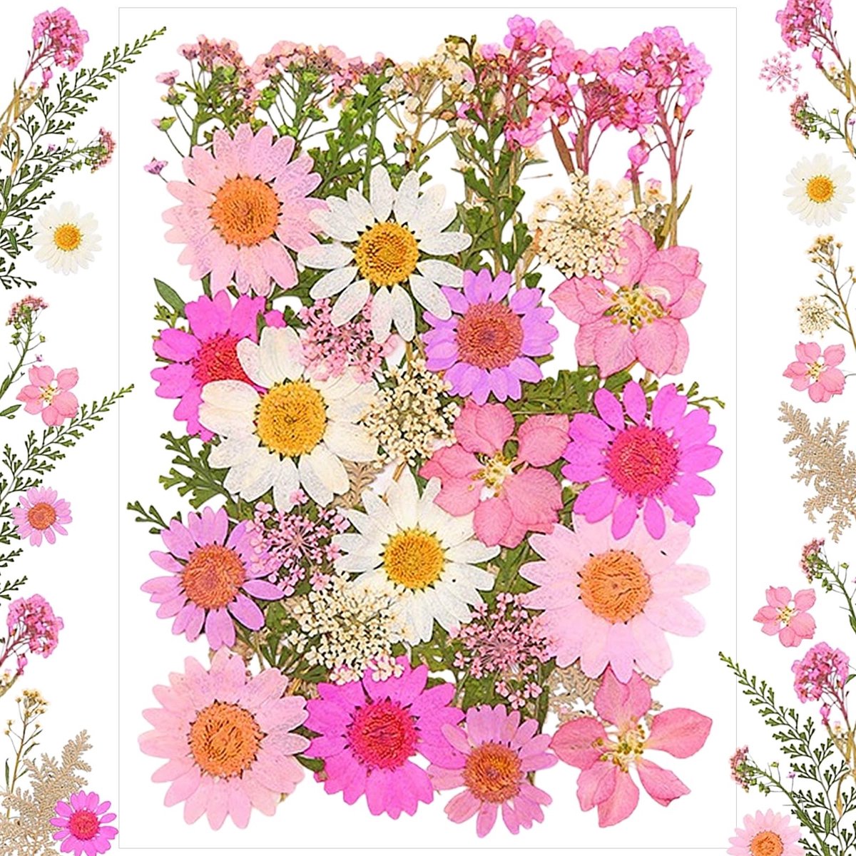 Dailygoods - Geperste bloemen, 40 stuks, wilde bloem, taarttoppers, wilde bloemen, taartdecoratie voor douche, bruiloft, natuurlijke doe-het-zelf gedroogde bloemen voor kaarsen, hars, sieraden, nagelhangers