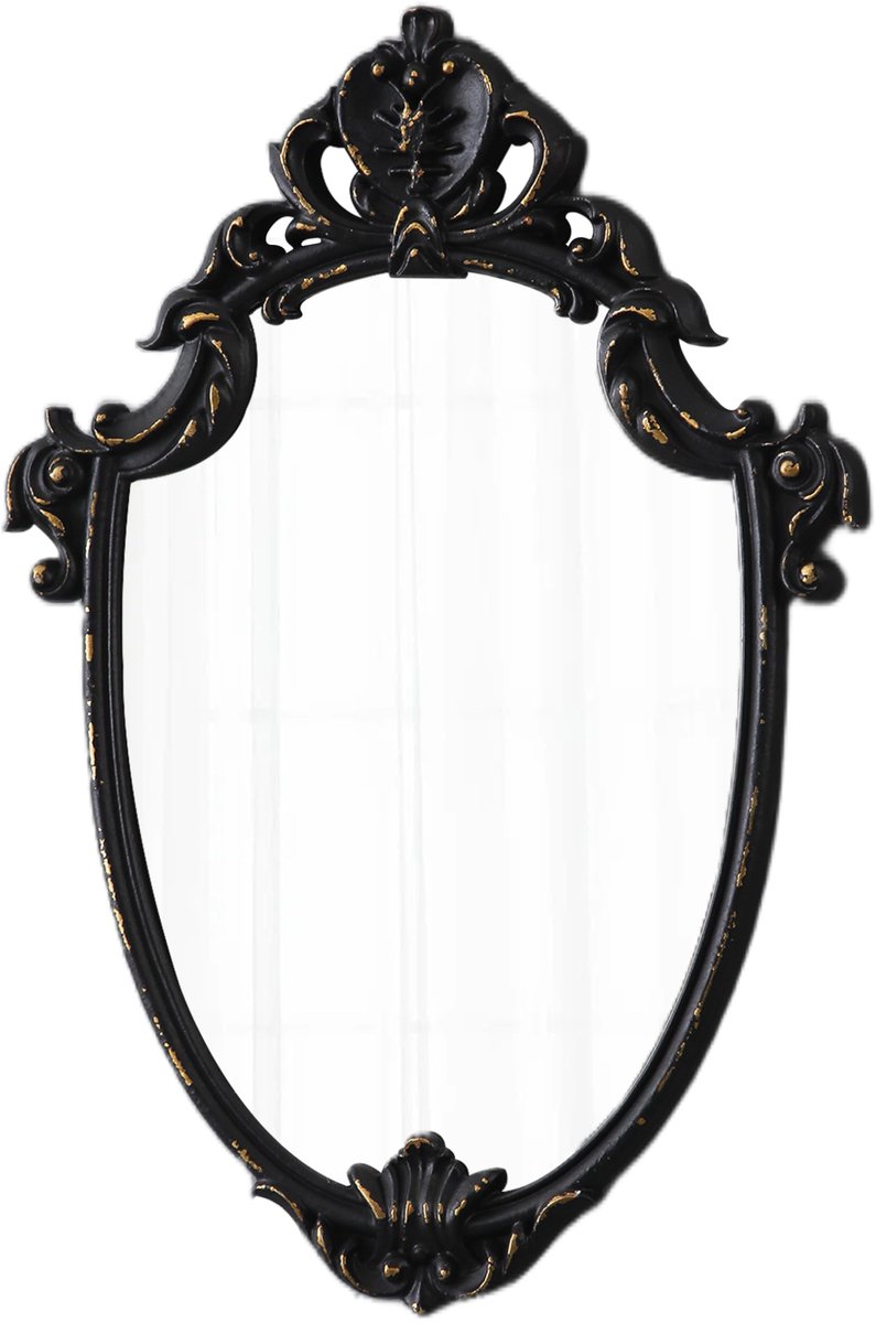 Spiegel zwart frame (stijl 1)
