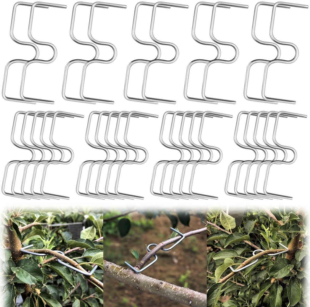 30 stuks takspreiders voor fruitbomen, 8/10 cm, taksteun voor fruitbomen, verzinkt, fruitboom, takspanner, tuin, voor het reguleren van de groeirichting van fruitboomtakken