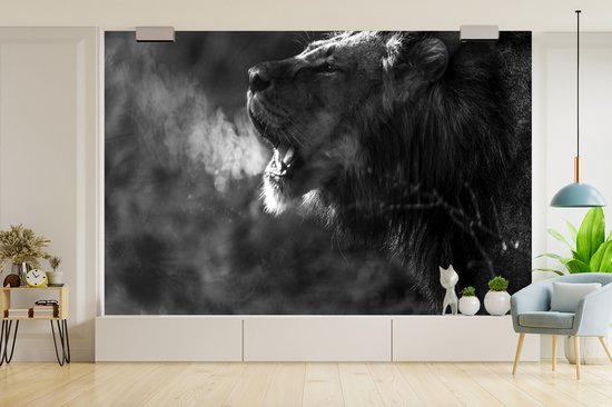 Papier peint Papier peint photo en vinyle - Lion rugissant largeur 390 cm x hauteur 260 cm - Tirage photo sur papier peint (disponible en 7 tailles)