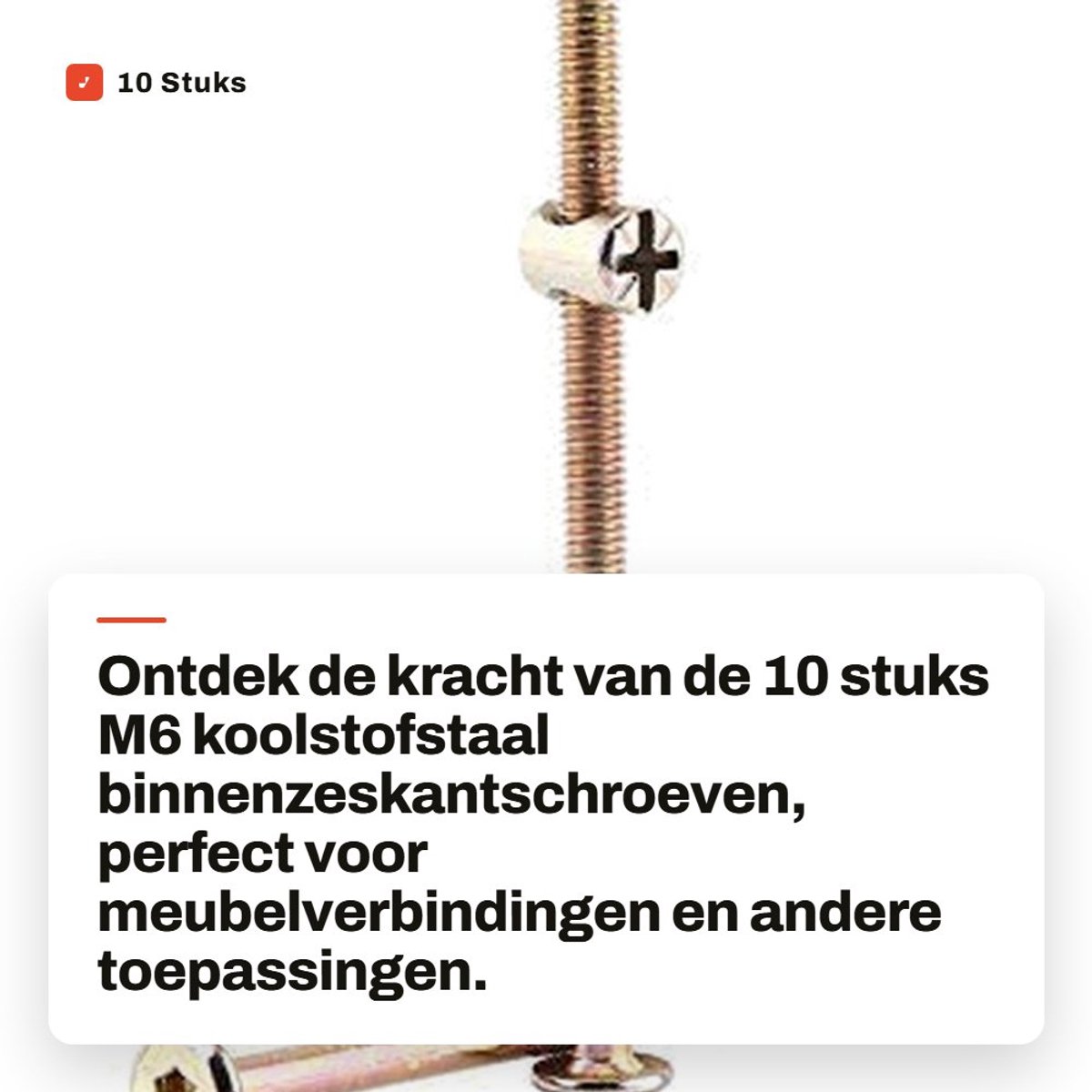 Dailygoods- Binnenzeskantschroeven 10 stuks - M6 Meubelschroeven - Cilindermoeren - Verpakt in herbruikbare verpakking - Verzinkt koolstofstaal - Duurzaam en roestbestendig