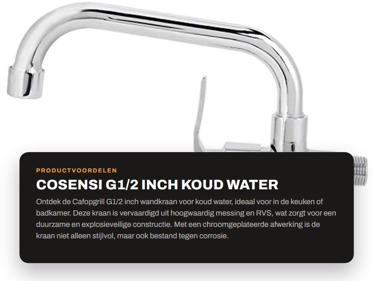 Dailygoods- Koudwaterkraan - Wandmontage - Messing/RVS - Ergonomische Handgreep - Corrosiebestendig - 360 Graden Draaiend - Keukenkranen