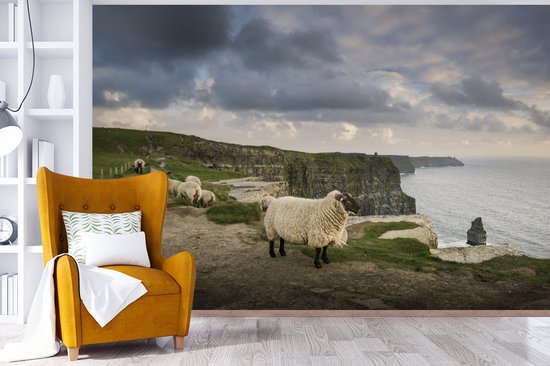 Behang - Fotobehang Schapen in Ierland - Breedte 360 cm x hoogte 240 cm