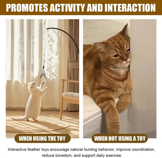 8 stuks hengel kattenspeelgoed, veerspeelgoed voor katten met bellen, reserveveren voor kattenhengel, veer hanger, kattenveren, speelgoed, vervanging voor beweging en interactief spel — afbeelding 3