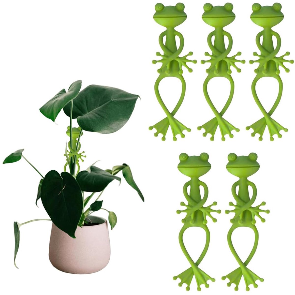 Plantenstandaard plantenstandaard plantenstandaard struikstandaard klimplantentang