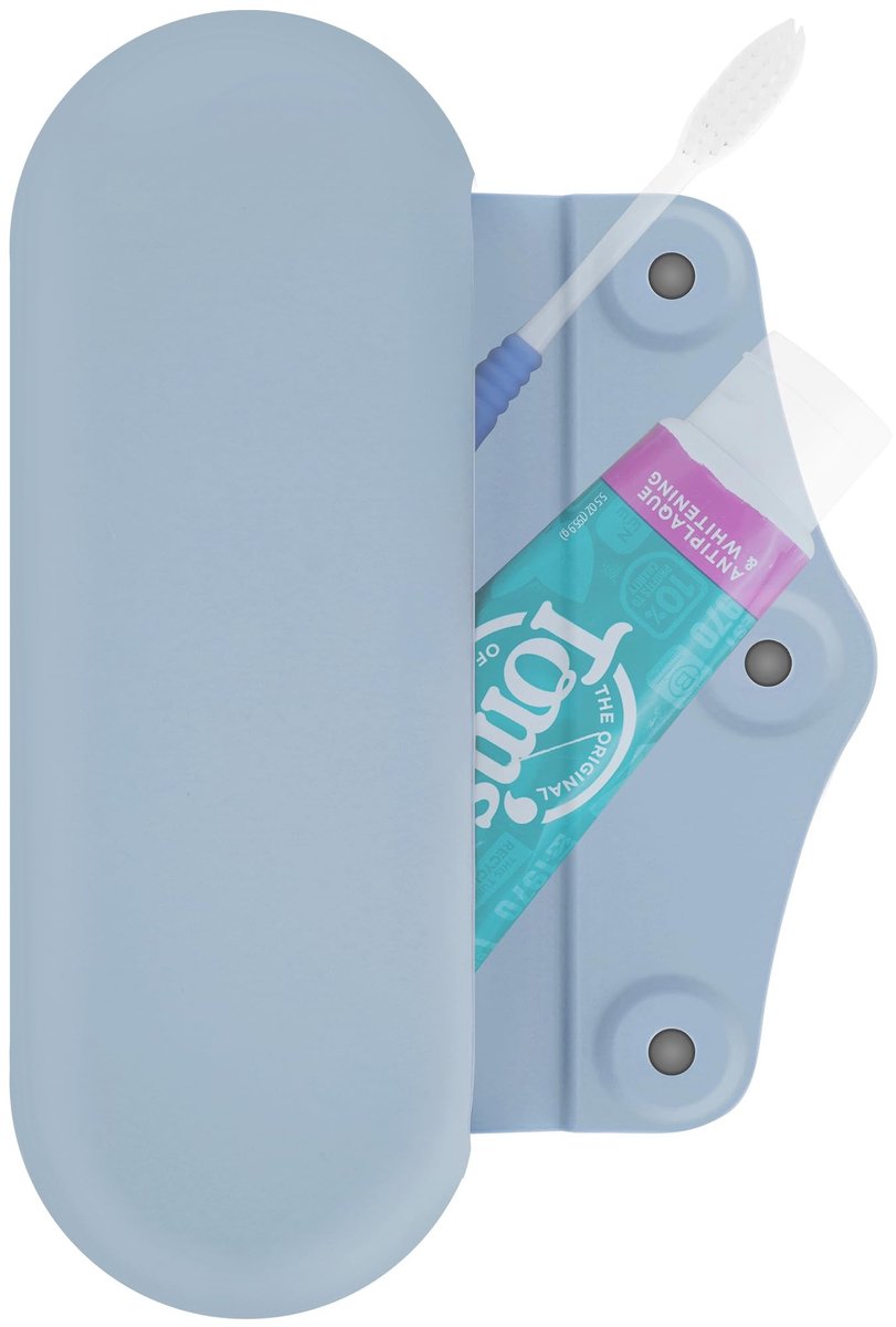 Dailygoods - Handmatige Tandenborstel Reistas met Magnetische Klik voor Draagbare Bescherming