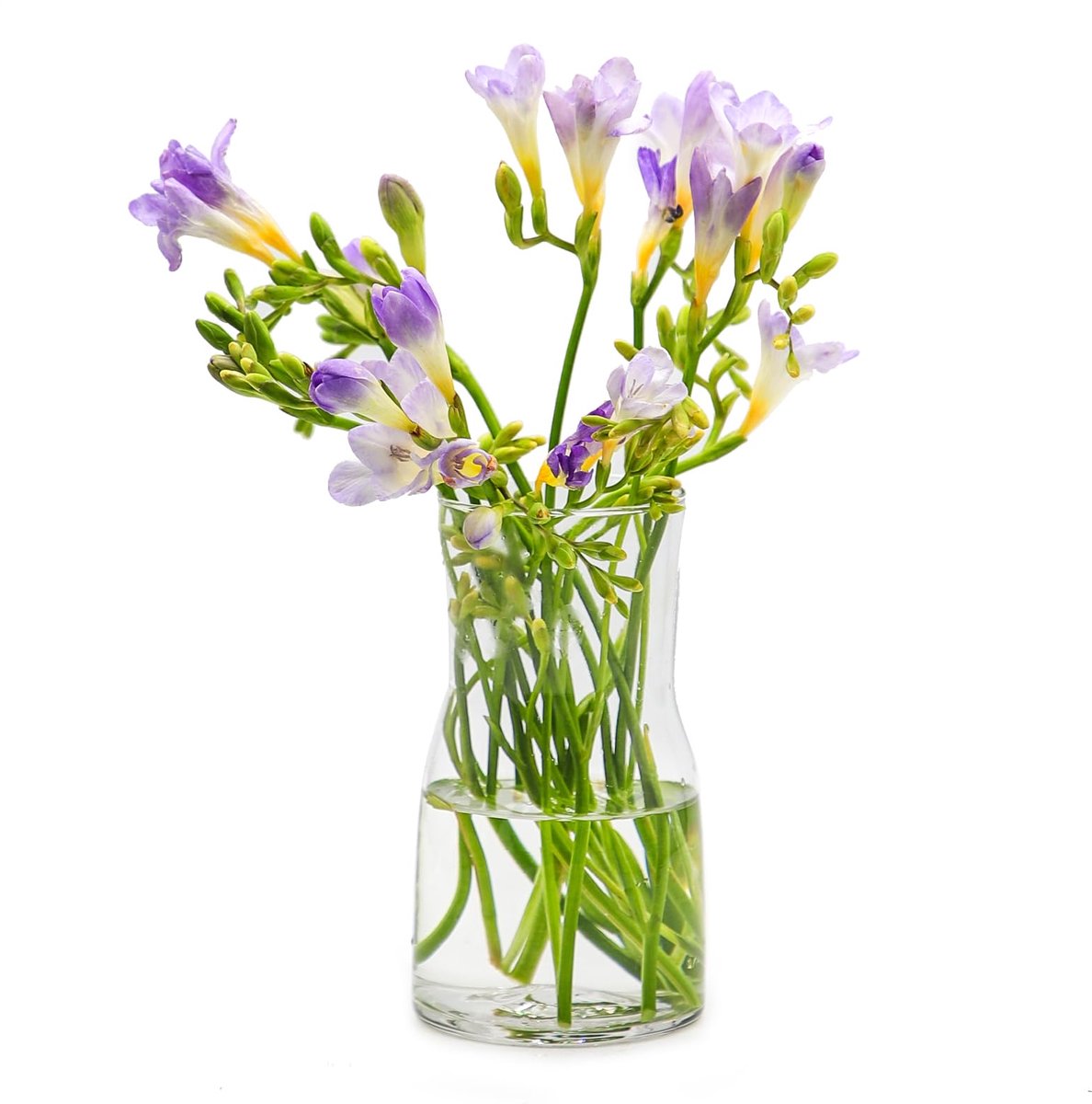 Vaas moderne stijl decoratieve glazen bloemenvaas voor woonkamer, huis, kantoor of bruiloft decoratie