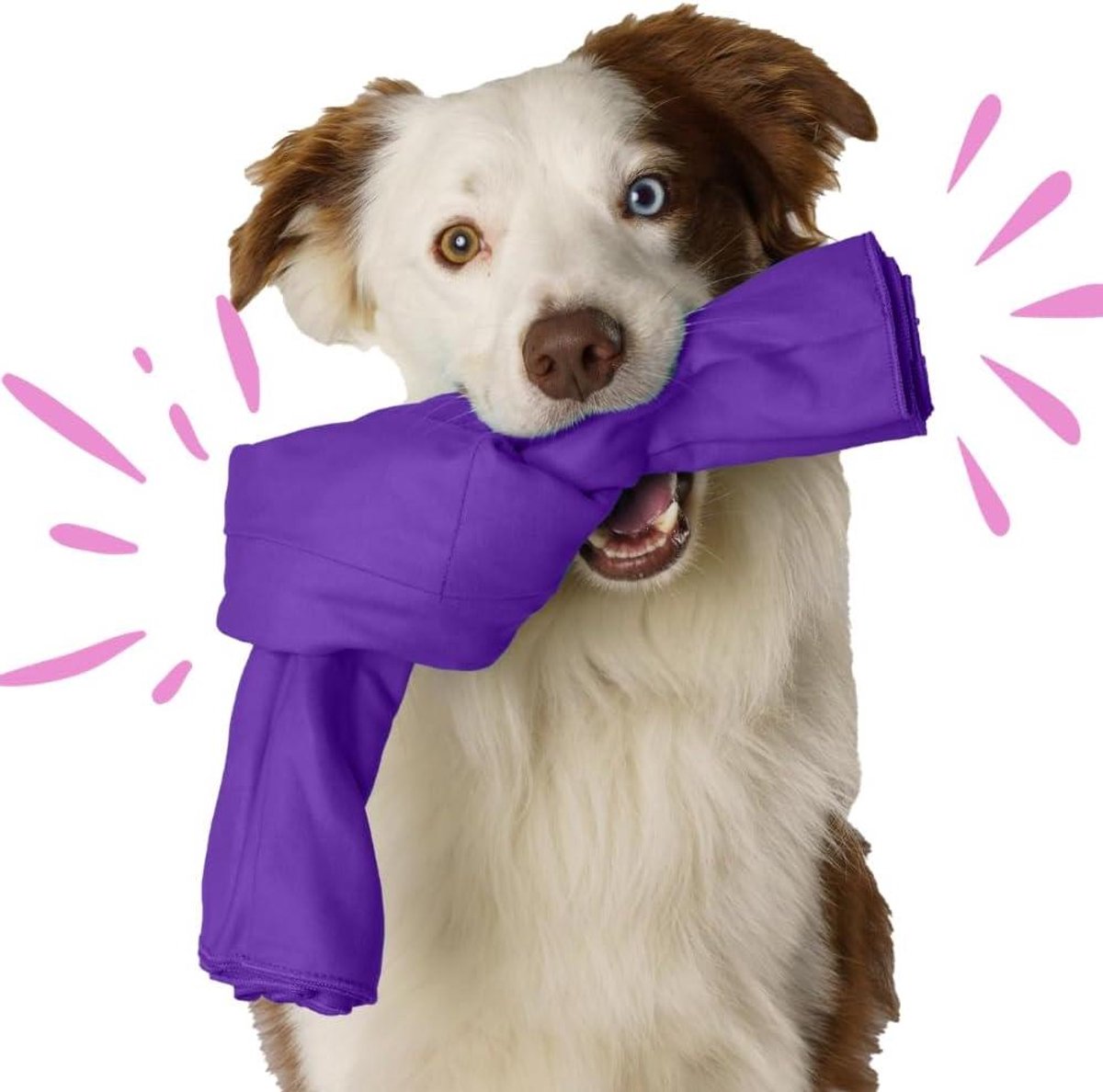 Snuffelspeelgoed Hond - Hondenpuzzel - Mentale Stimulatie - 9 Moeilijkheidsgraden - 110 x 79 cm - Multicolor