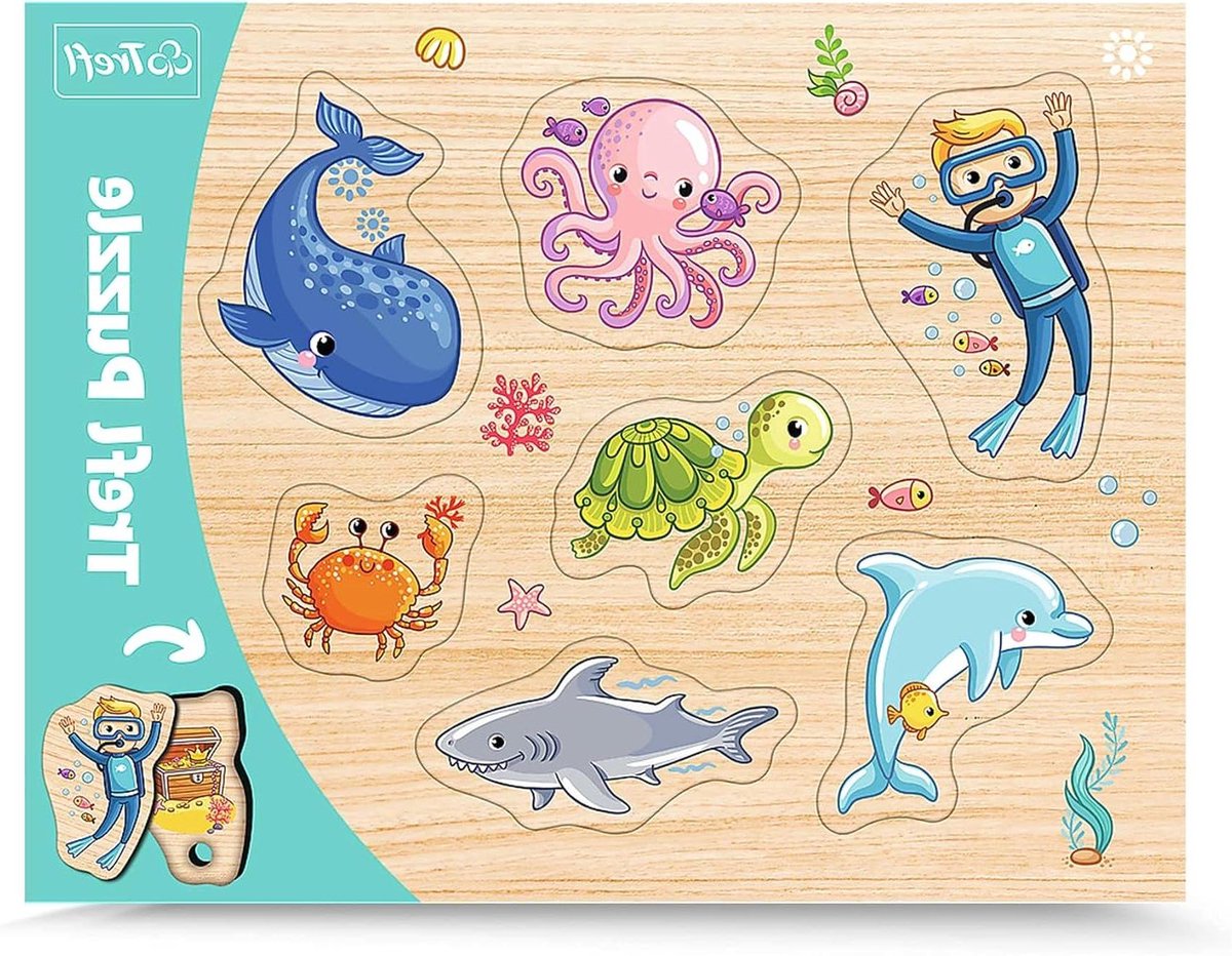 Contour Puzzel - Inlegpuzzel Puzzel - Kinderen Leren Spelen - Met Uitneembare Puzzelstukjes - Grote Stukken - Gekleurd