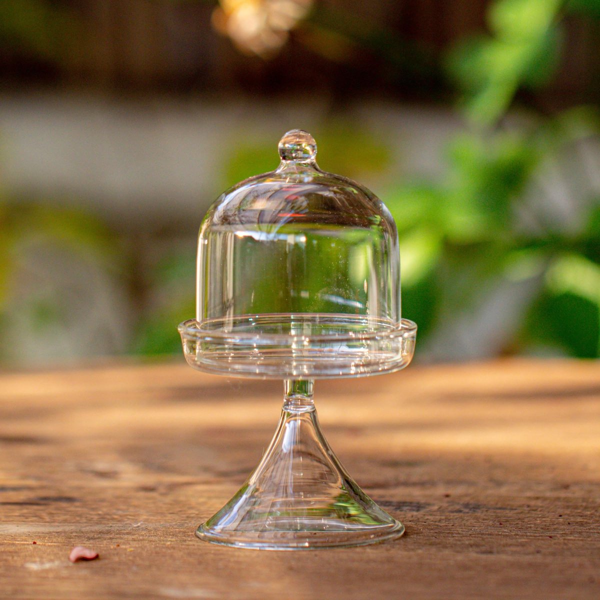 Glazen stolp met standaard en kleine kubus plantenbak voor display sieraden, ring, kleine planten - kleine glazen cloche, woondecoratie (planten niet inbegrepen)