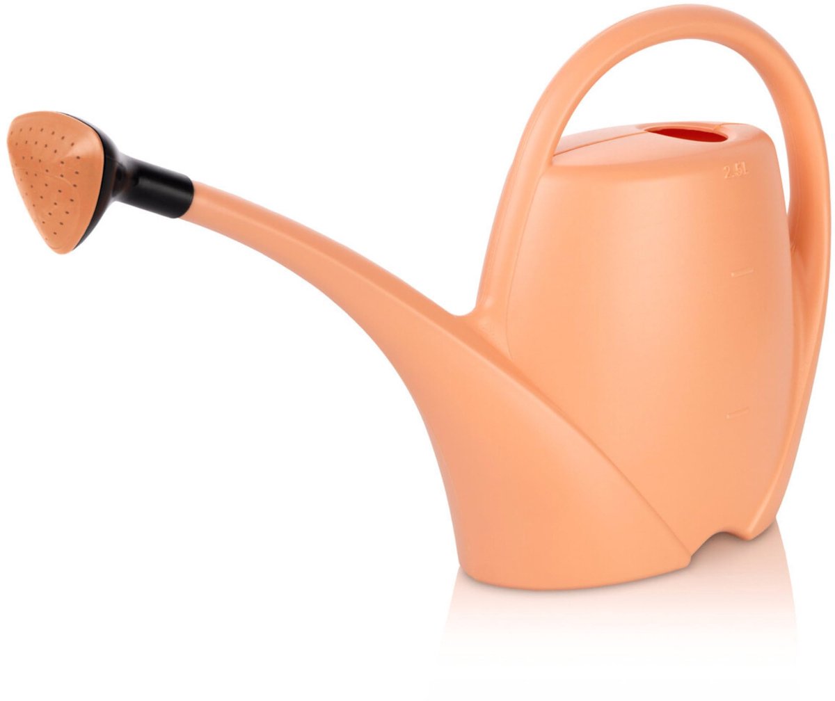 Gieter klein met douche voor kamerplanten, 2,5 l, bloemengieter van hoogwaardig kunststof, gieter voor binnen en buiten, ideaal voor kamerplanten, perzik