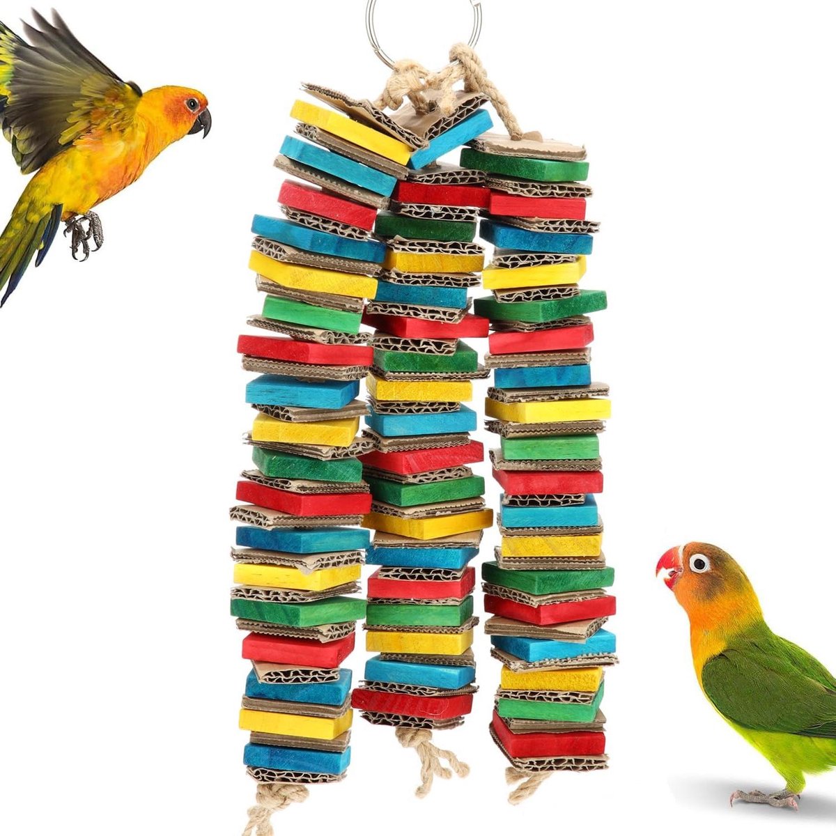 Papegaai Kauwspeelgoed - Vogel Speelgoed - Vogel Educatie - Natuurlijk Hout - 35 cm - Kleurrijk