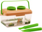 Insectenbakje - Fien en Teun