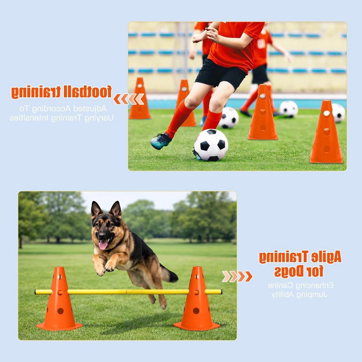 Steekhordenset met 10 kegels en 5 stangen, verstelbare agility obstakels voor honden, kinderen en paarden, ideaal voor sporttraining en spel, 23 cm hoog, veelzijdige trainingsset