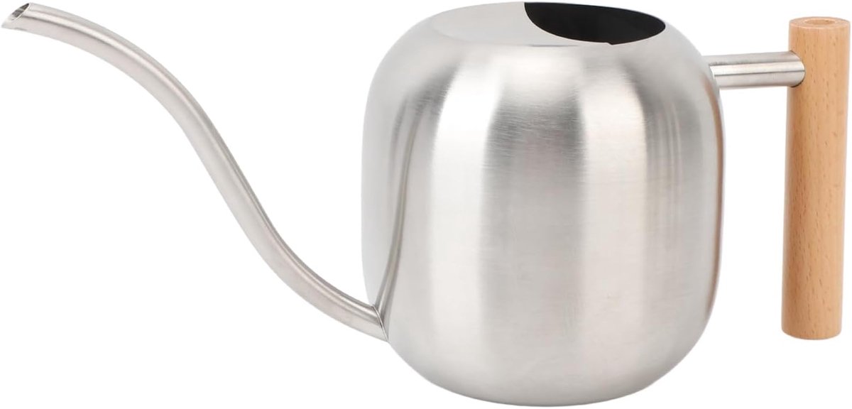 Roestvrijstalen Gieter - Waterkannetje Planten - Planten Verzorgen - Lange Precisie Uitloop - 475 gram - Zilver
