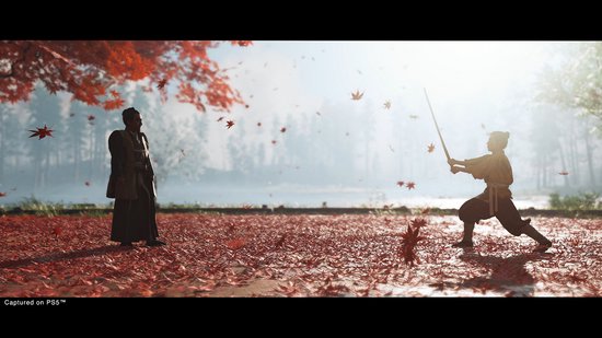 Ghost of Tsushima: Director’s Cut - PS5