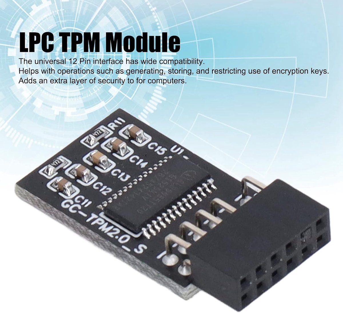 SnelShoppen - TPM 2.0 LPC SPI 12-Pin Externe Kaart Cryptografie, Beveiligingsplaat Accessoires, Veilige Cryptografische Processor voor Windows en Giga
