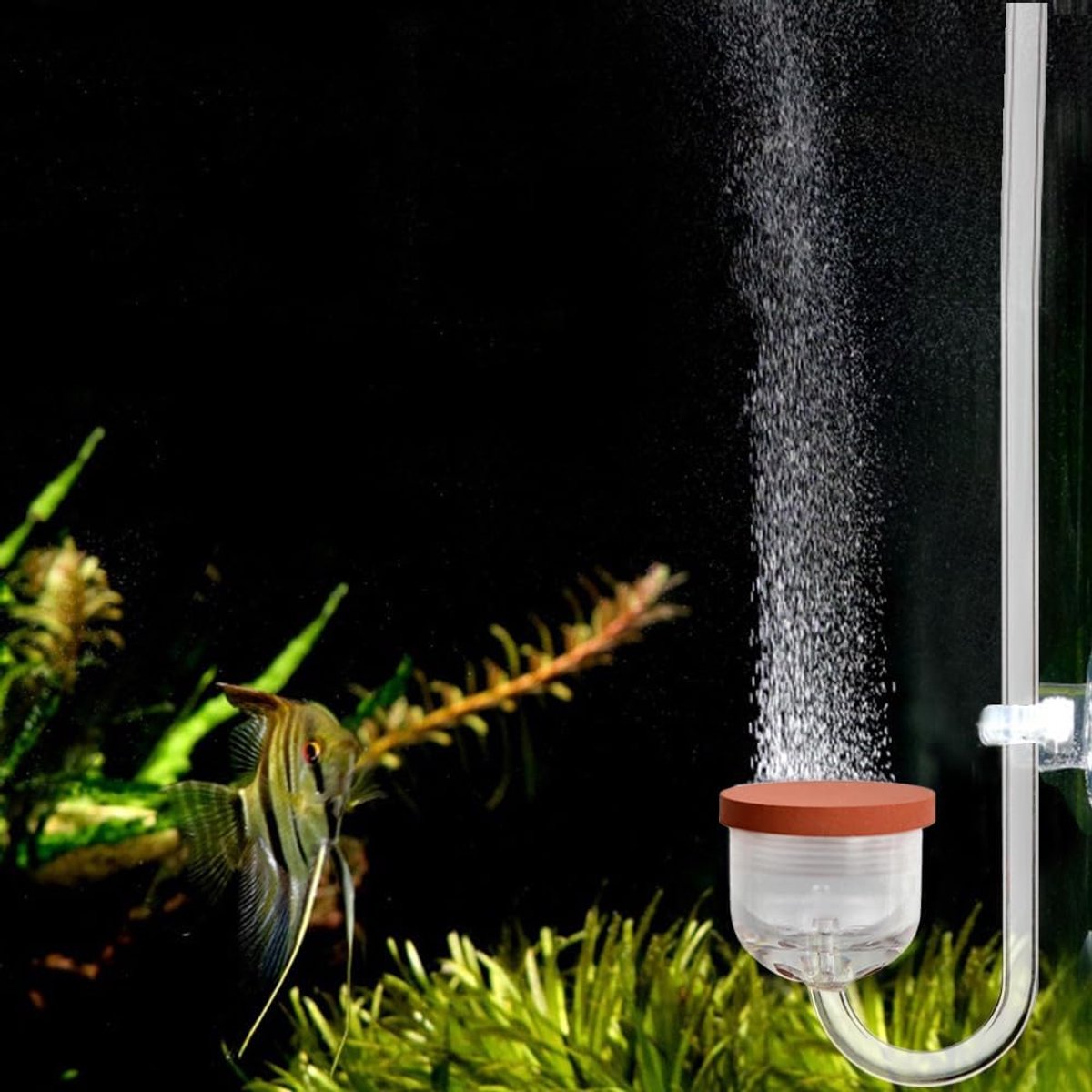 SnelShoppen - CO2 Diffuser Set voor Aquariums tot 120 cm - Acrylaat CO2 Atomizer met Check Valve en Suction Cups - Ideaal voor Planten en Aquatic Life