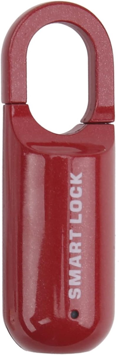 SnelShoppen - Vingerafdruk Hangslot, 10 Sets van Zink Legering, Sleutelloze Anti-Diefstal Bescherming, USB Oplaadbaar met LED Display, Ideaal voor Deu