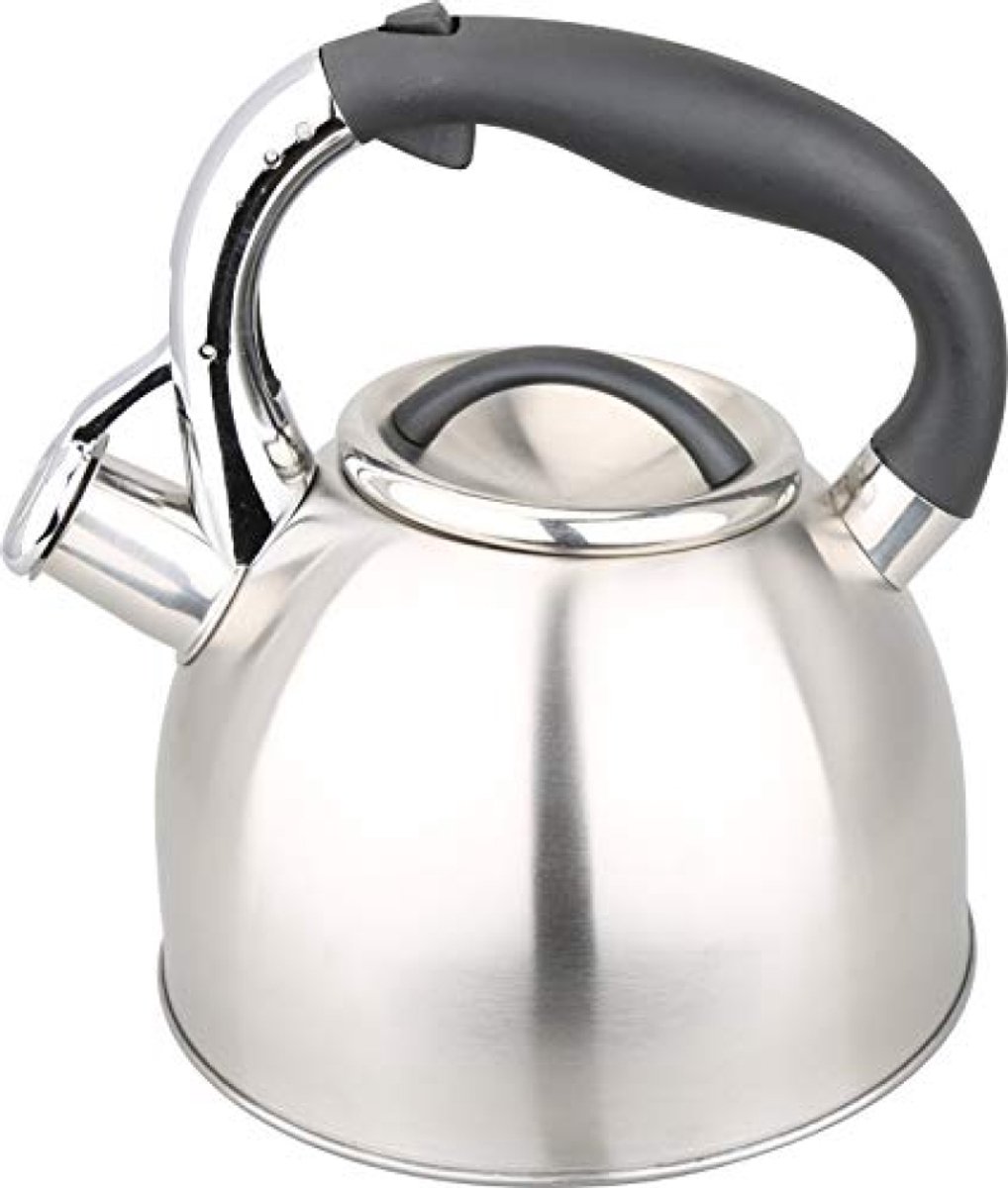 Fluitketel 3 Liter - Roestvrij Staal - Ergonomische Handgreep - Geschikt voor Alle Warmtebronnen Inclusief Inductie