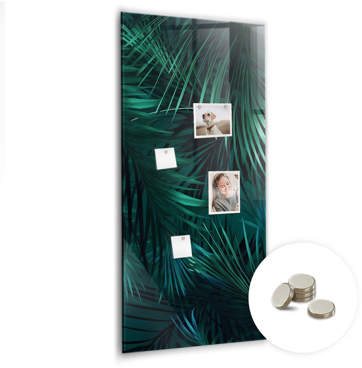 Coloray Glazen Magneetbord - Magnetisch Bord Een explosie van smaak - 60x120 cm - Groente Magneetbord - Magnetic Board - Memobord