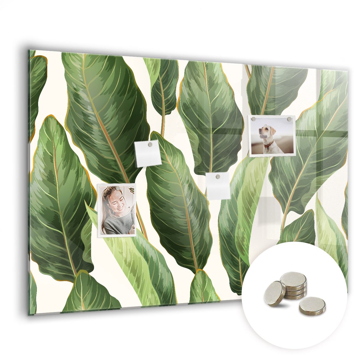 Coloray Glazen Magneetbord - Magnetisch Bord Mandala-patroon - 100x70 cm - Wit Magneetbord - Magnetic Board - Memobord