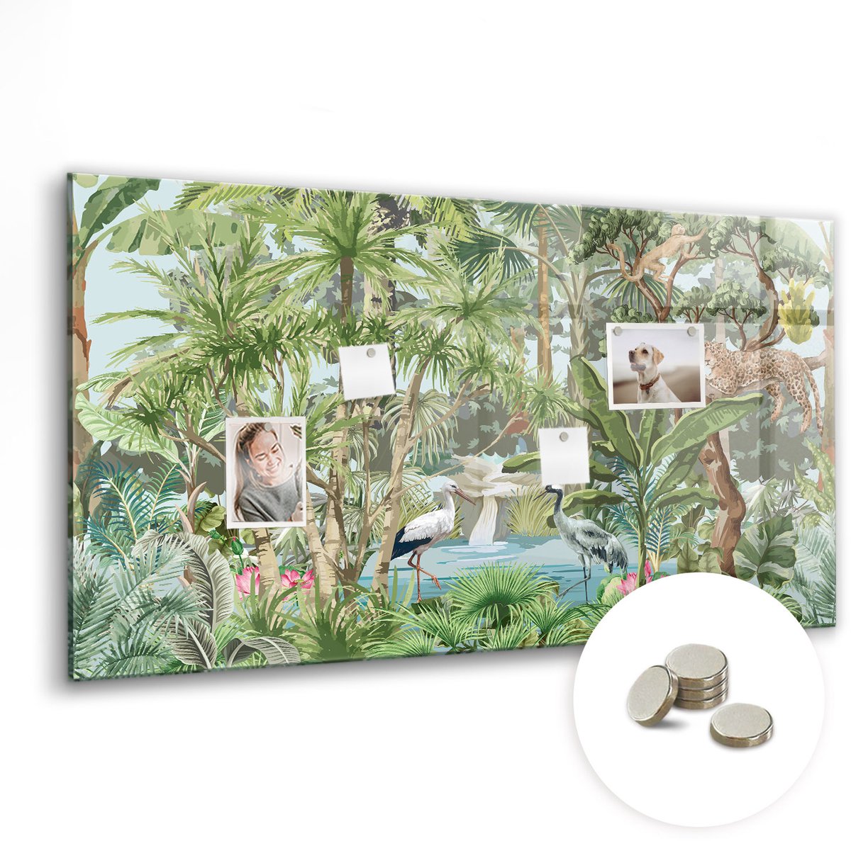 Coloray Glazen Magneetbord - Magnetisch Bord Een biervat - 120x60 cm - Groente Magneetbord - Magnetic Board - Wanddecoratie