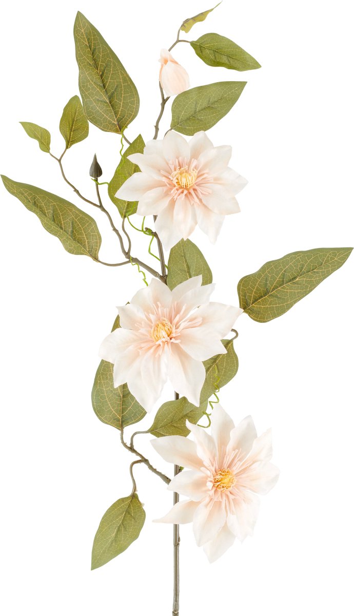 Easyplants | Kunstbloem Clematis 81 cm oud creme | Zijde | Nepbloemen | creme | Onderhoudsvrij | Kant-en-klaar