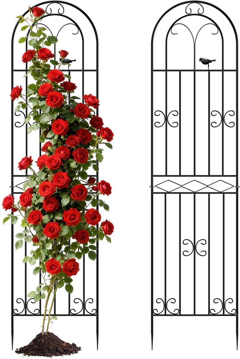 Famanu – Metalen plantenrek voor klimplanten, set van 2 stuks van 200 cm, stevige decoratieve kooi voor binnen en buiten