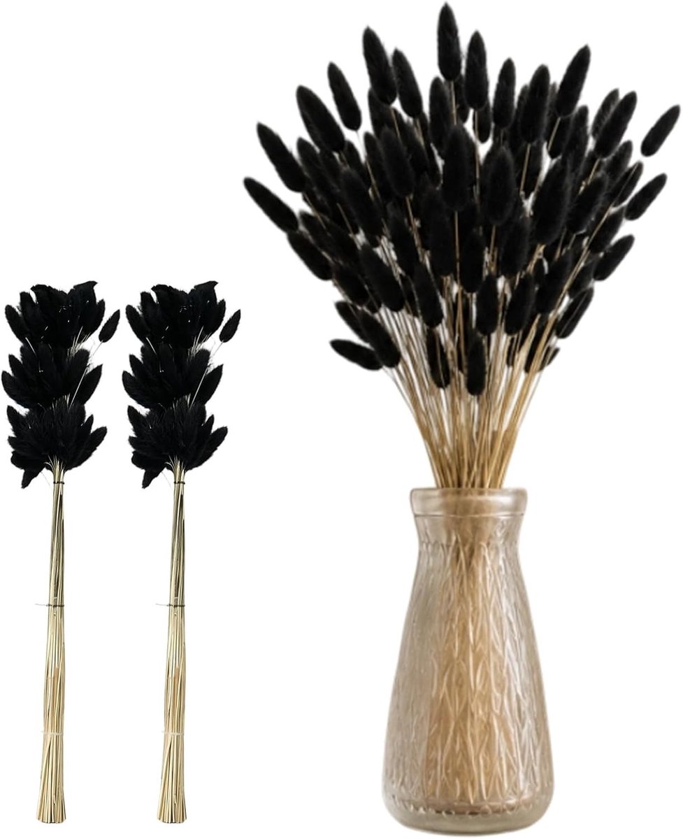 Droogbloemen Pampasgras 120 stuks – Boho Woningdecoratie, Natuurlijke Bloemen, Interieuraccessoires