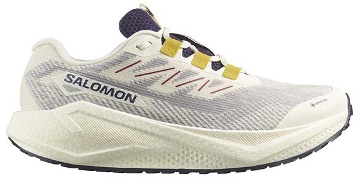 SALOMON - Shoes AERO BLAZE 3 GRVL GTX - Vanila/Astra - 8.5