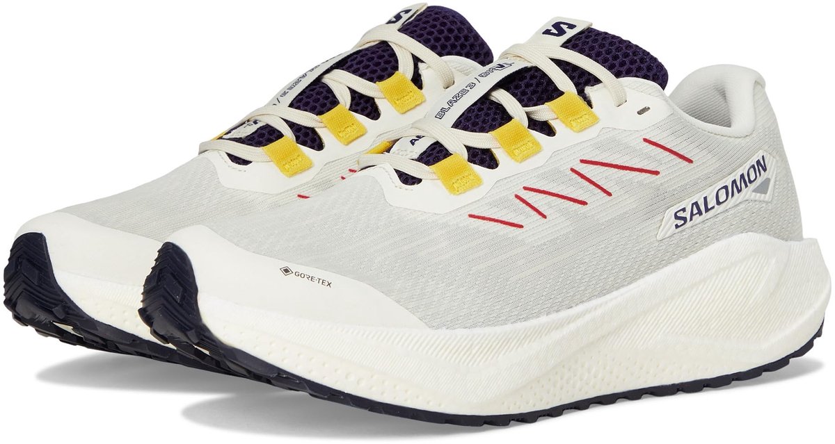 Sportieve Salomon AERO BLAZE 3 GRVL GTX W Dames Beige