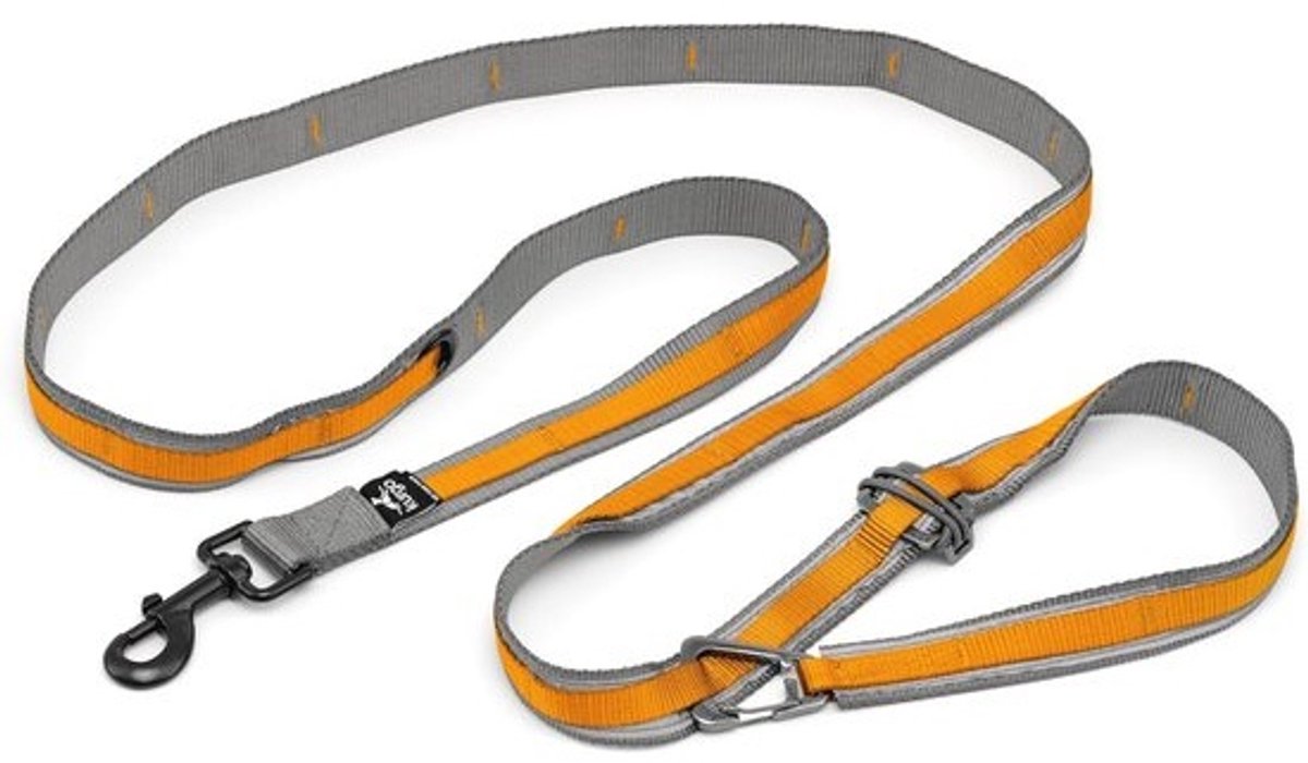 6-in-1 Handsfree Hondenriem voor Joggen en Wandelen – Reflecterend met Karabijnhaak